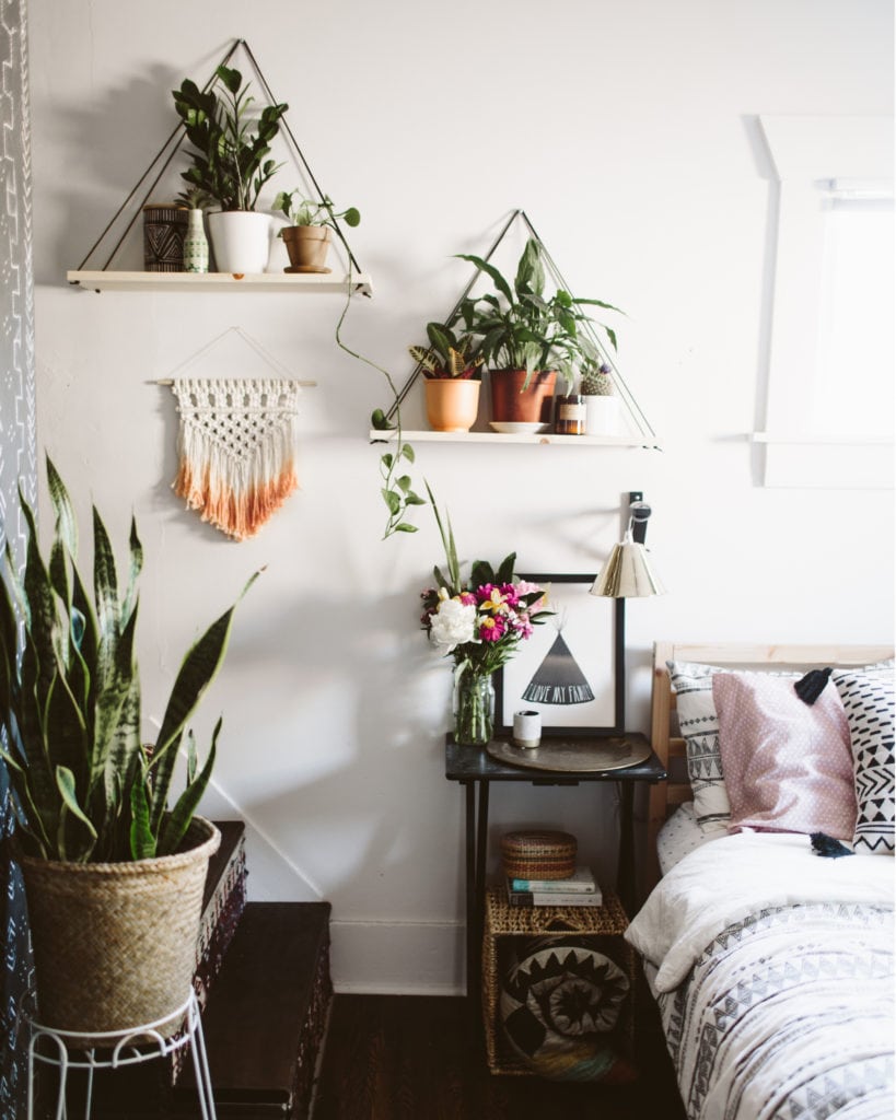 advice from plant mom: plants for small spaces
