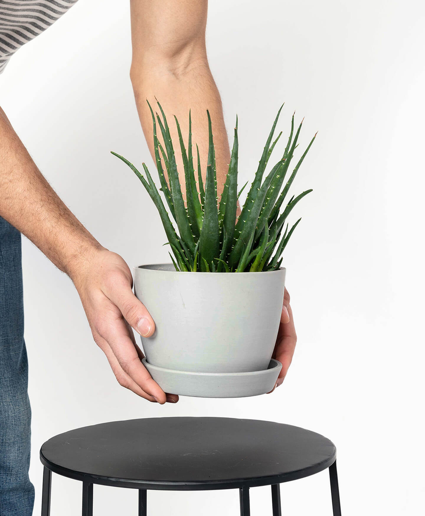 Bloomscape Ecopots Small Pot Bloomscape Ecopots Small Pot