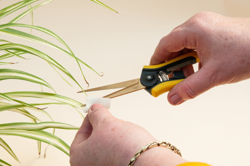 How to Trim Your Plants - Wipe Shears