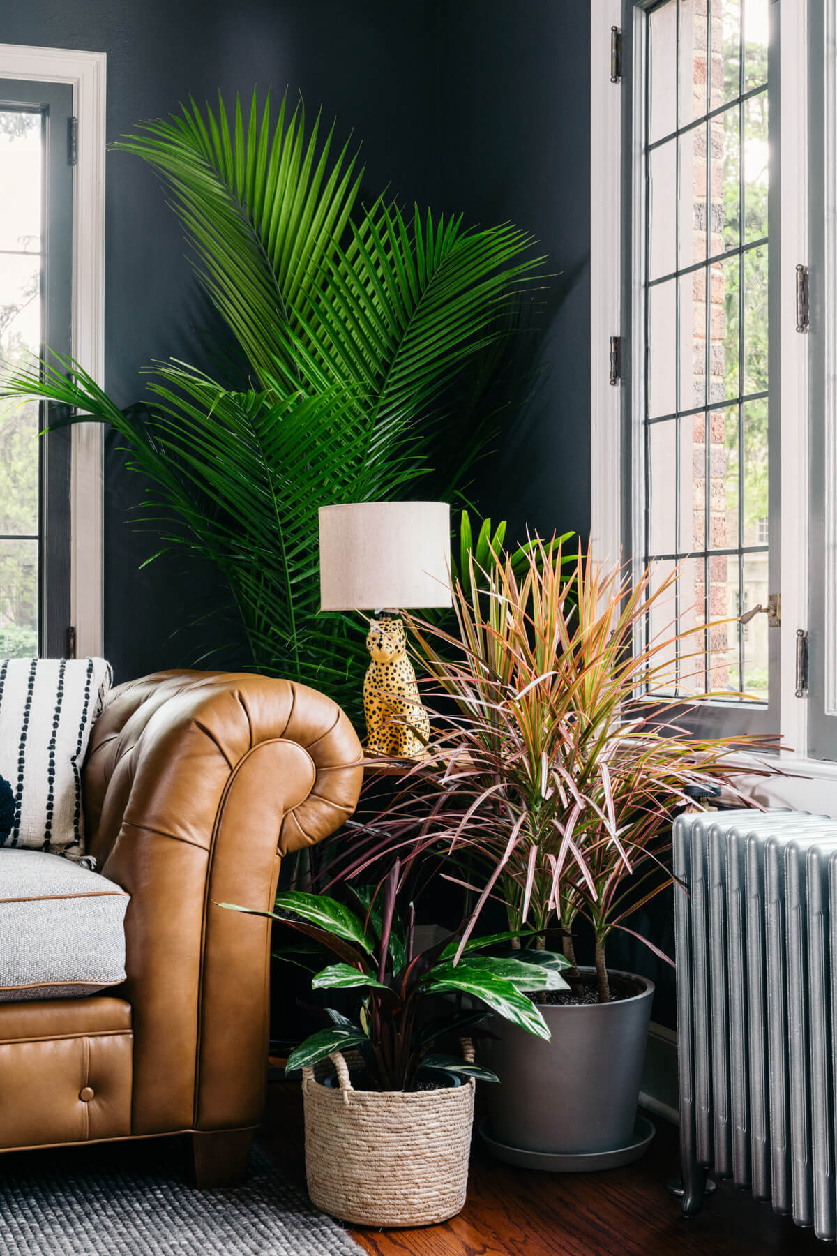 Plants next to air conditioner in a living room