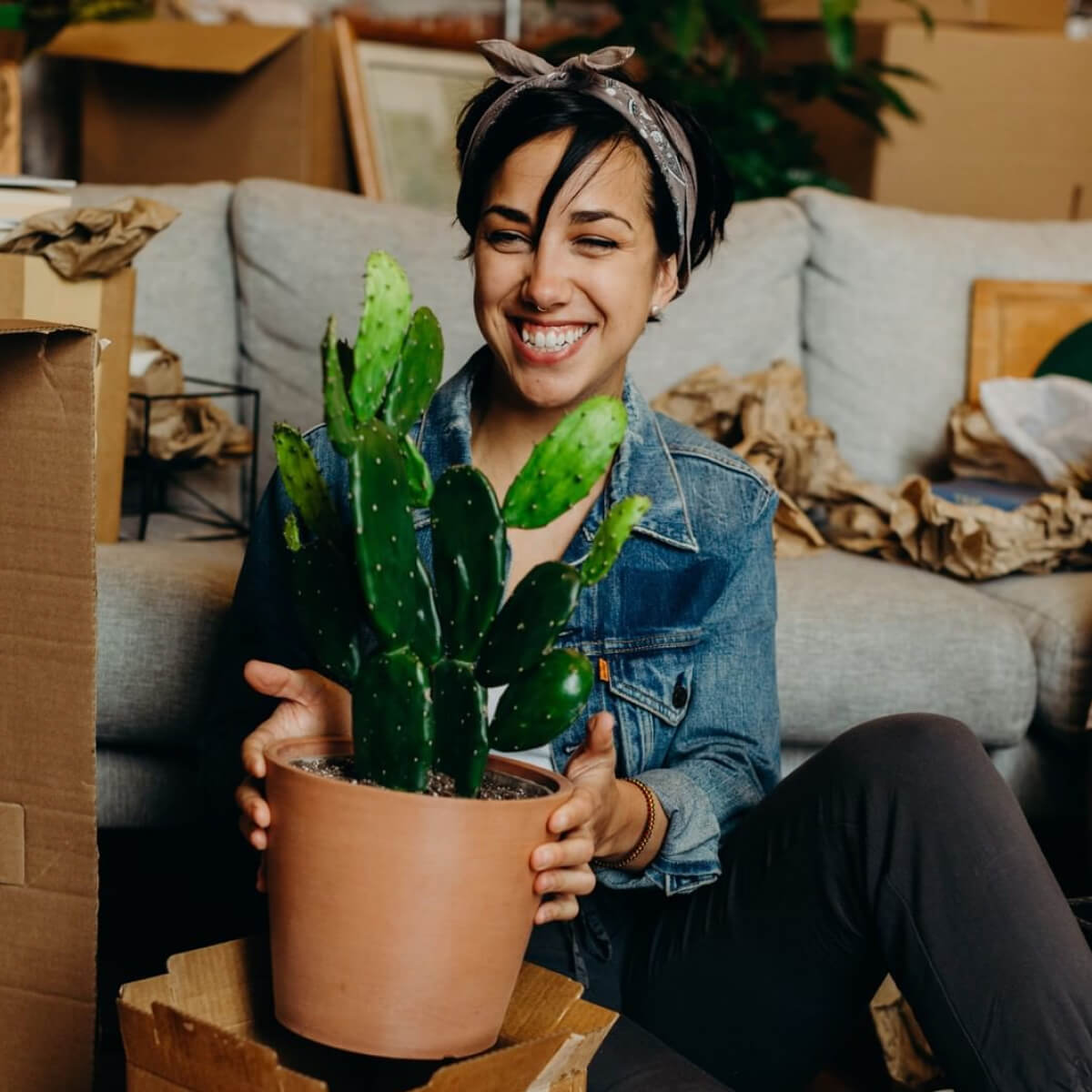 Bloomscape_Summer_Plants20