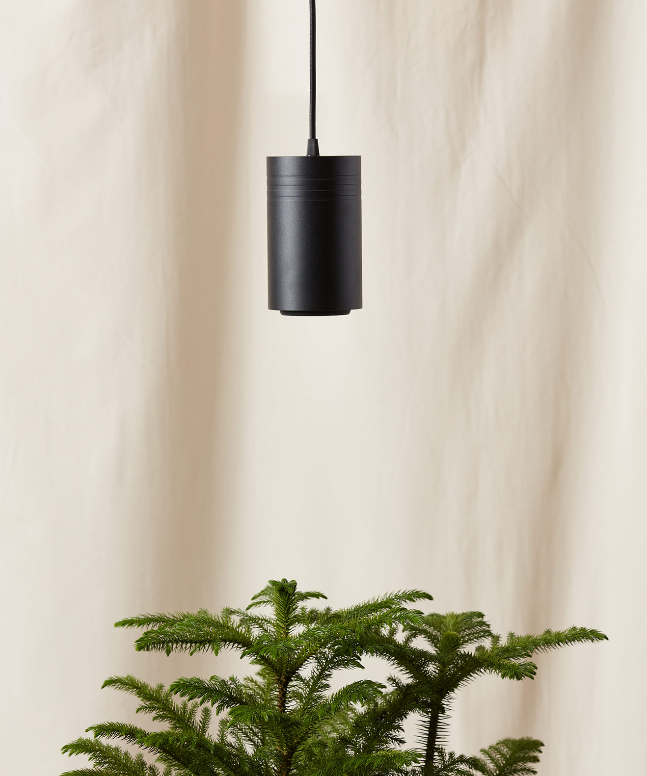 bloomscape_grow-light_large_black