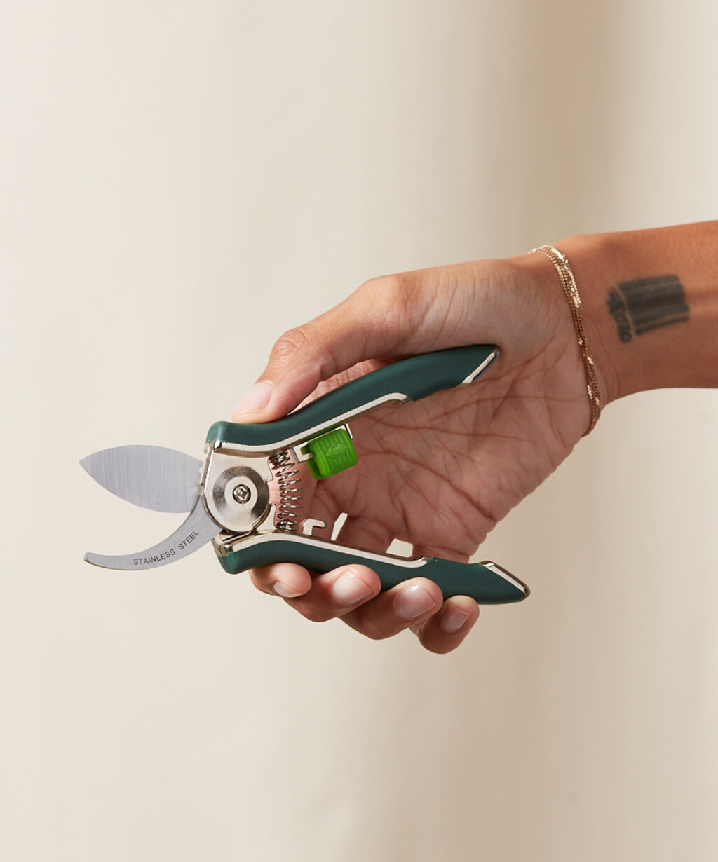 Buy Bloomscape Houseplant Pruner Buy Bloomscape Houseplant Pruner