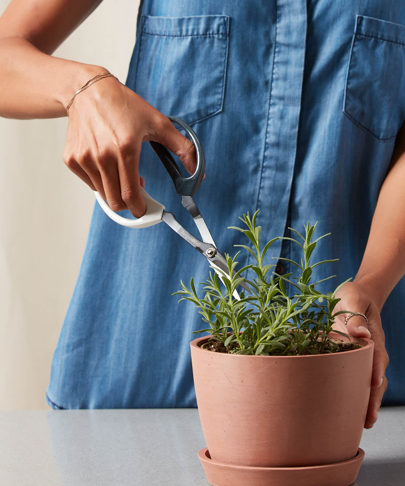 Buy Bloomscape Pruning Scissors Buy Bloomscape Pruning Scissors