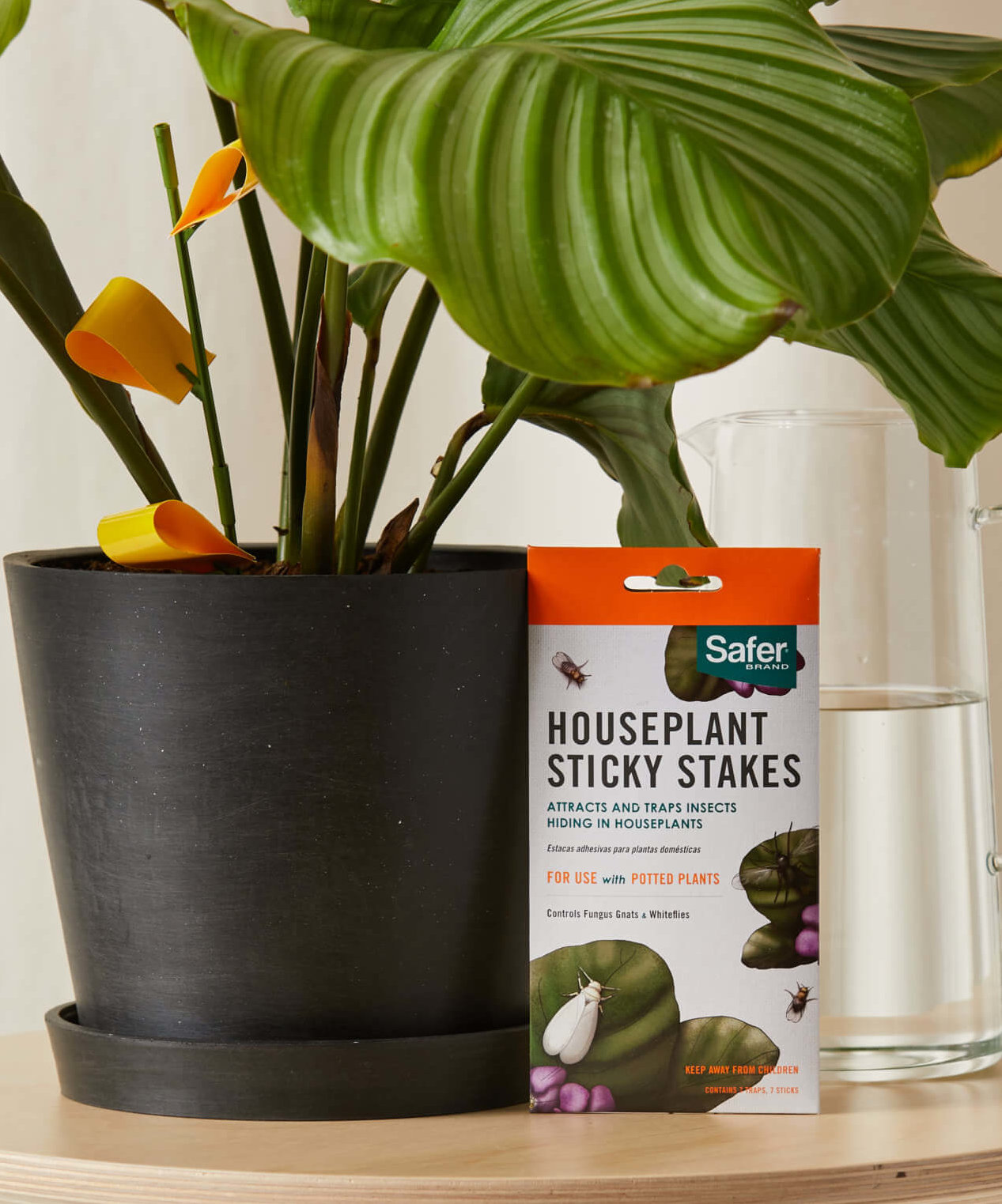 Buy Bloomscape Sticky Stakes Buy Bloomscape Sticky Stakes