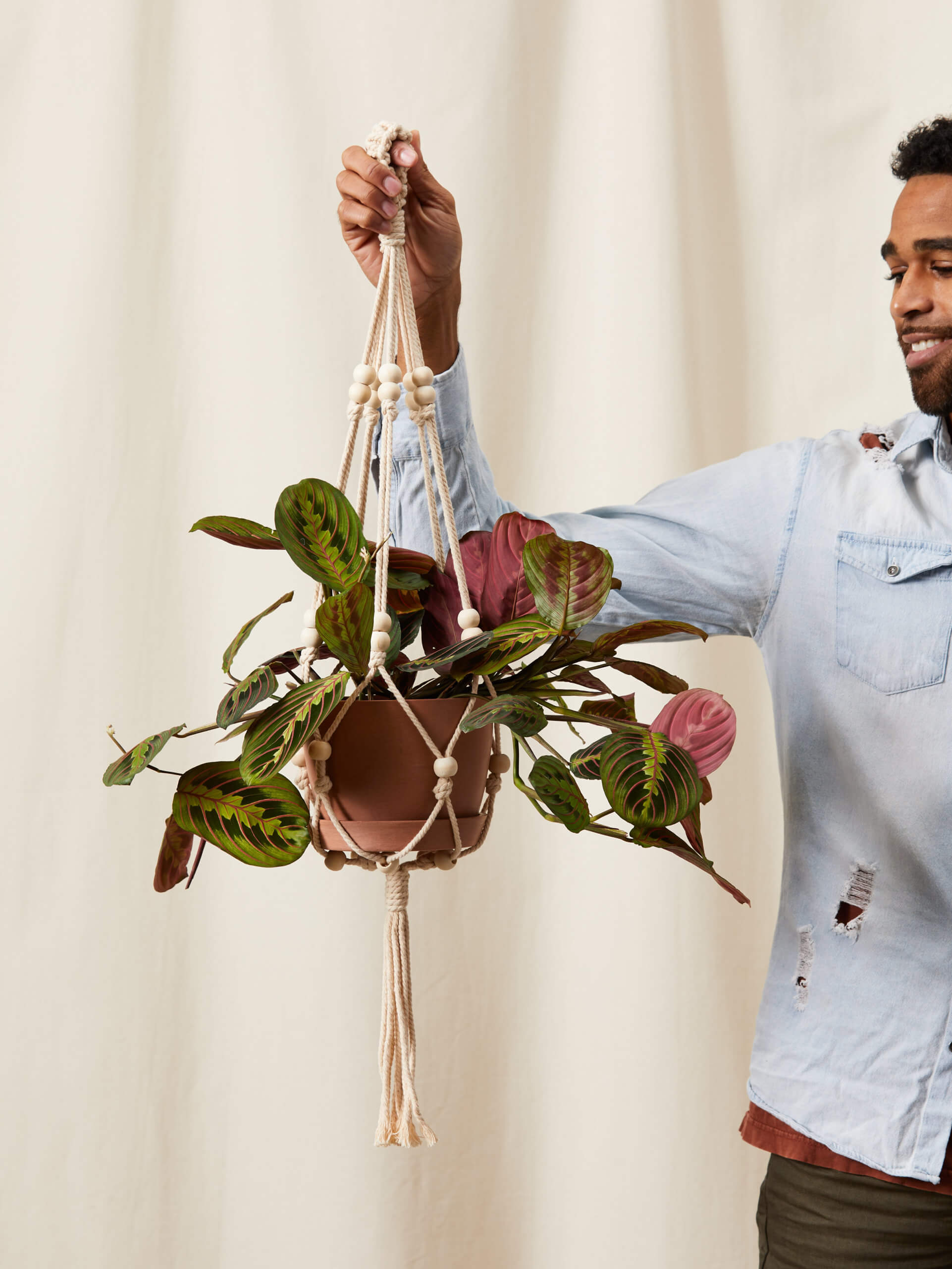 bloomscape_beaded-plant-hanger