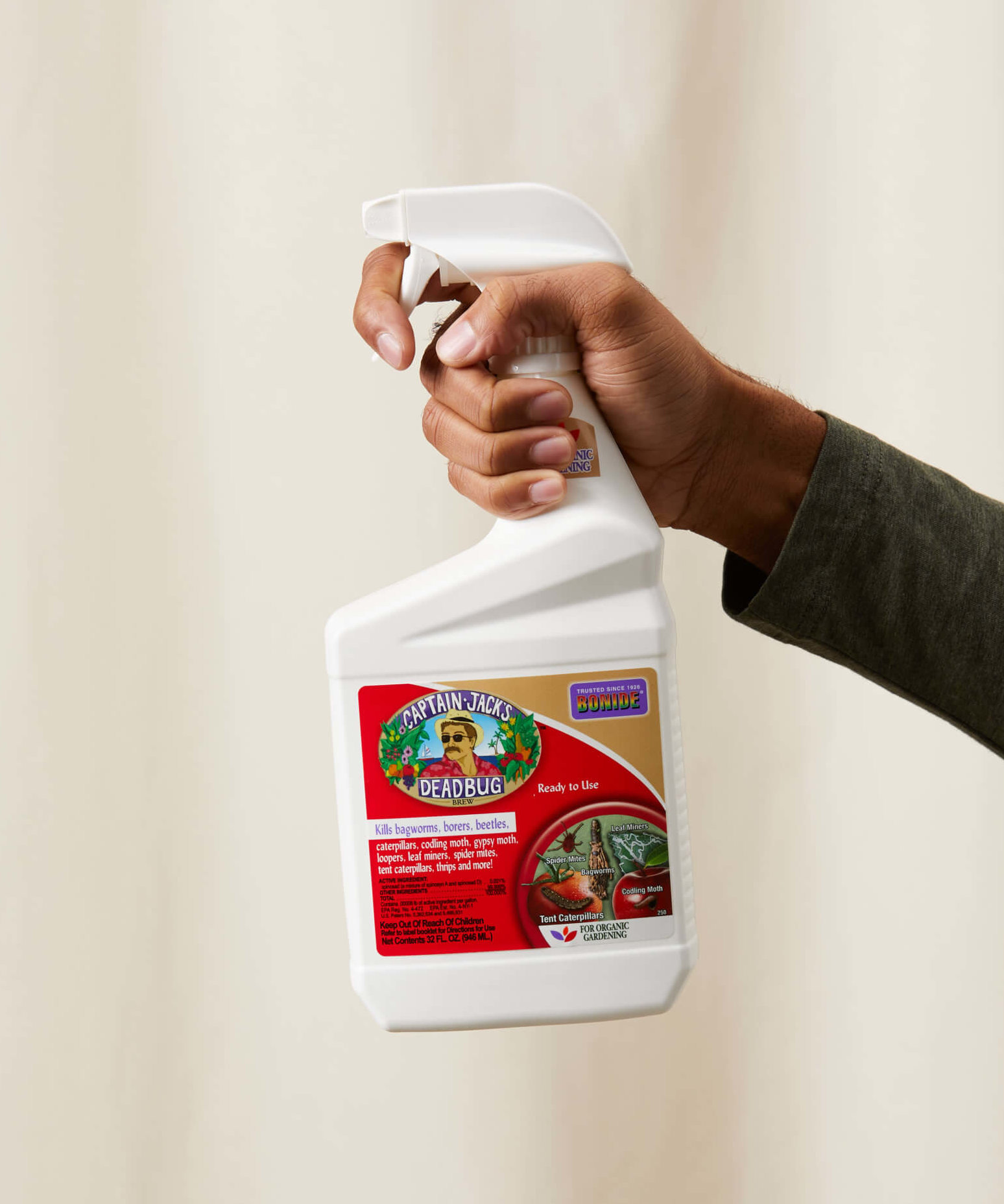 bloomscape_captain-jacks-deadbug1