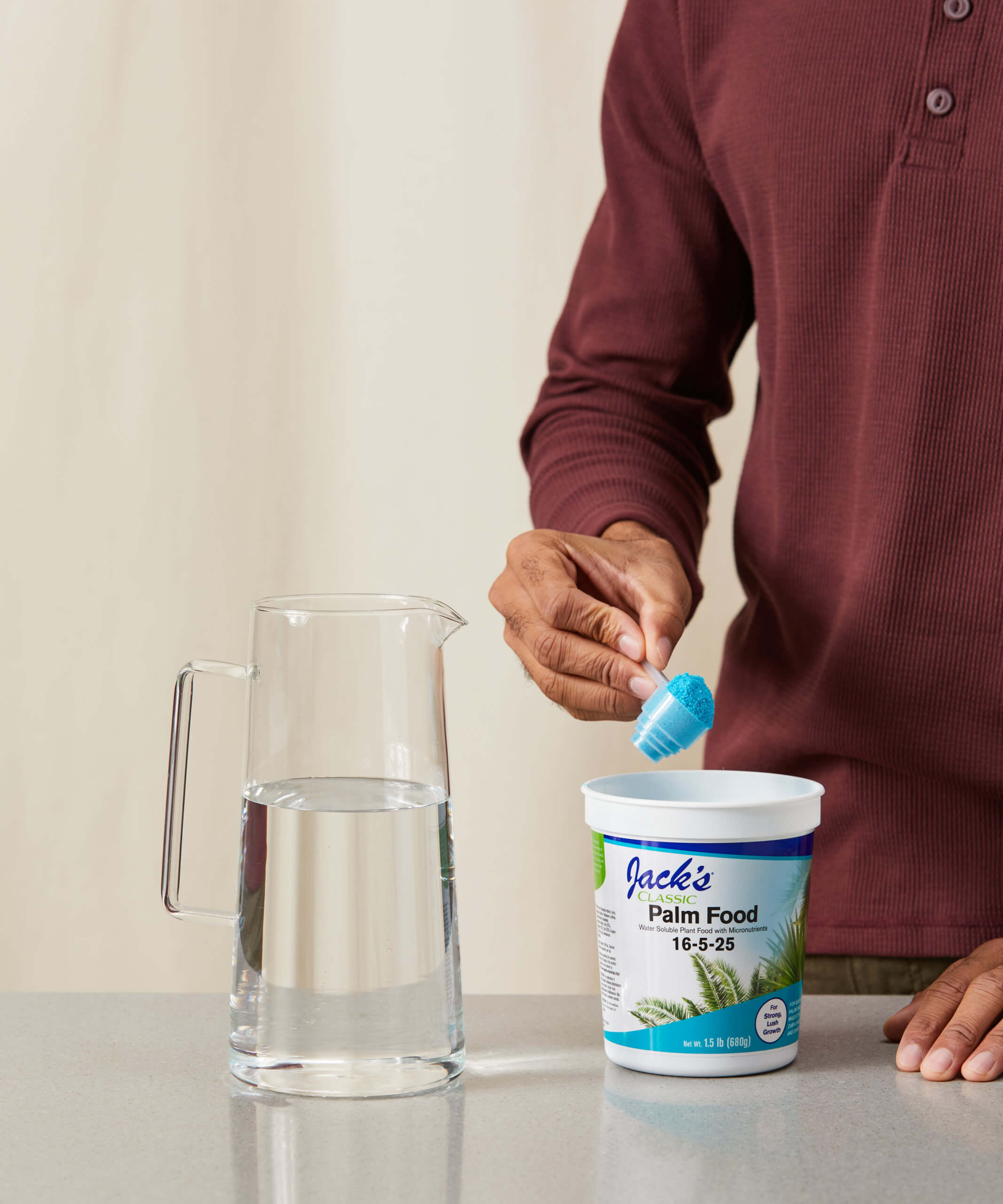 Buy Bloomscape Palm Food Buy Bloomscape Palm Food