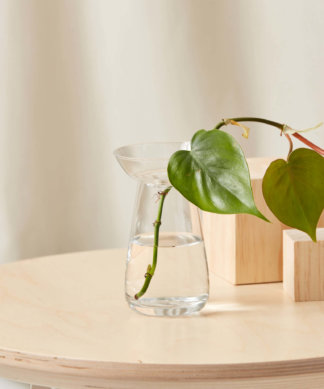 Buy Bloomscape Small Kinto Propagation Vase