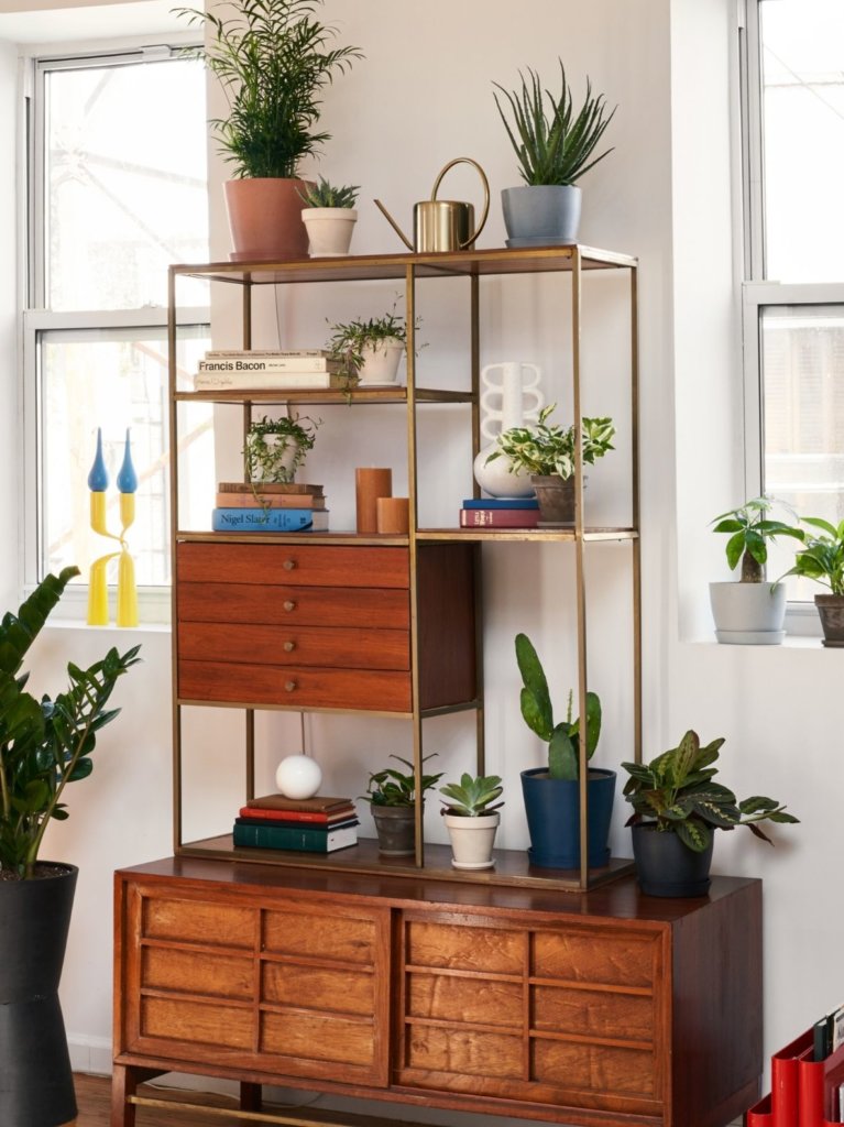 Bloomscape plants displayed on a mid-century modern shelving unit