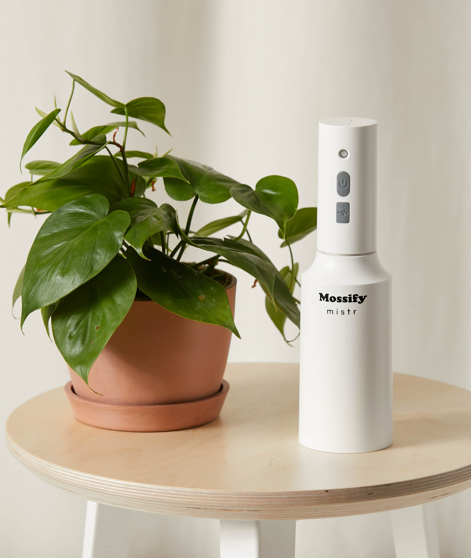 bloomscape_mister_on-table