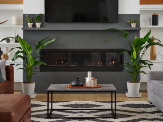 Bird of Paradise with fan-like tropical leaves in mid-century modern home