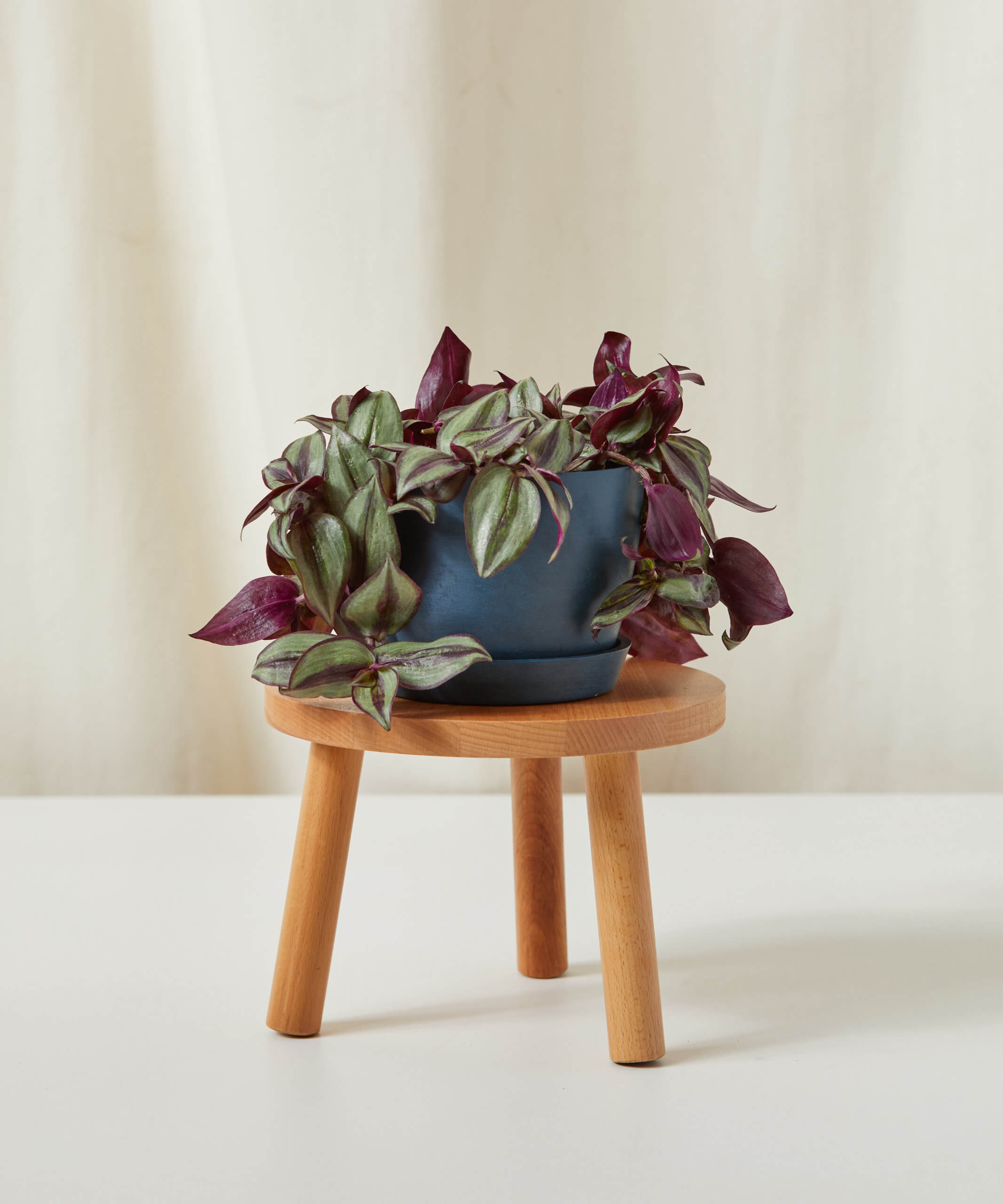 bloomscape_stool-sm_indigo
