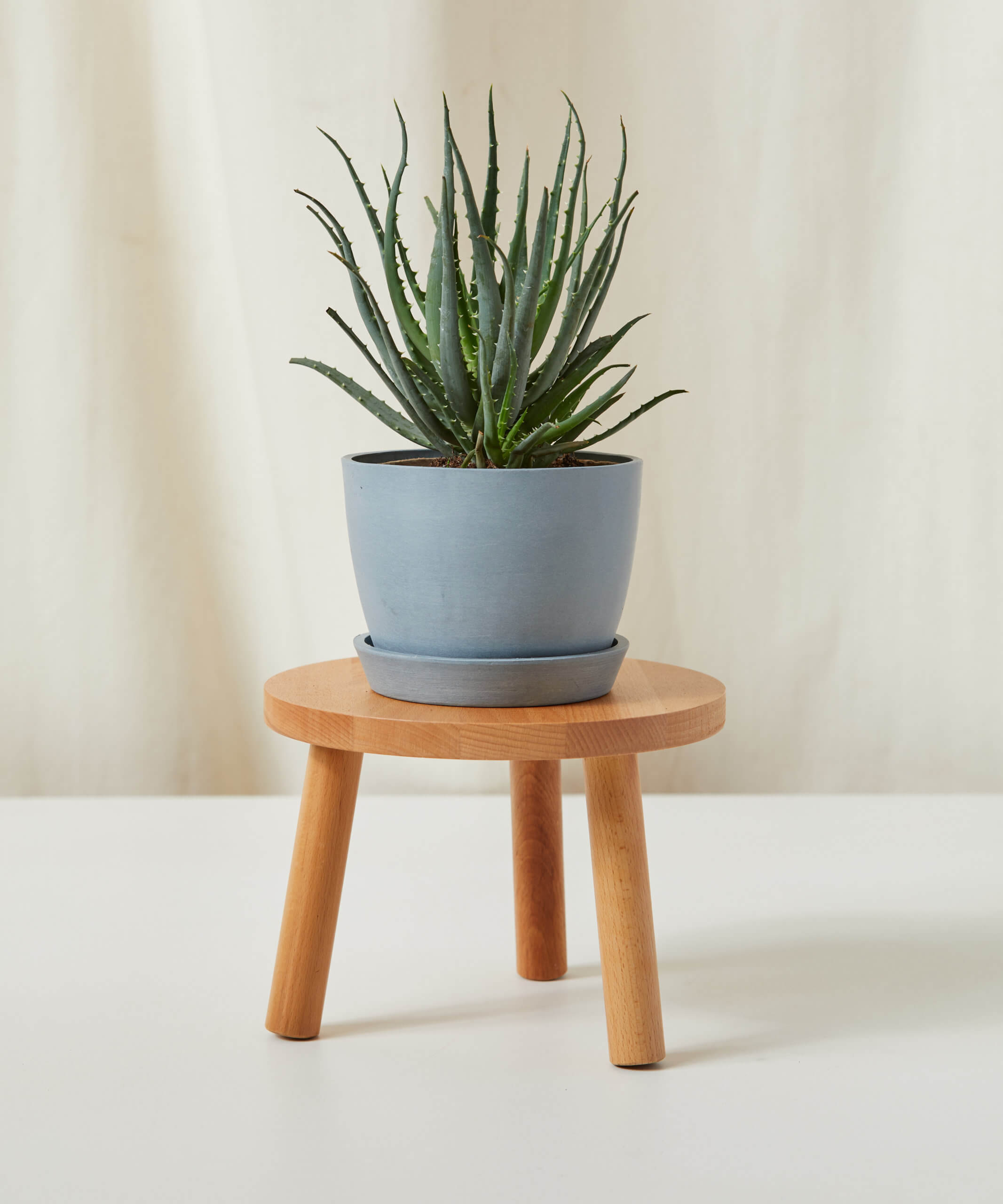 bloomscape_stool-sm_slate