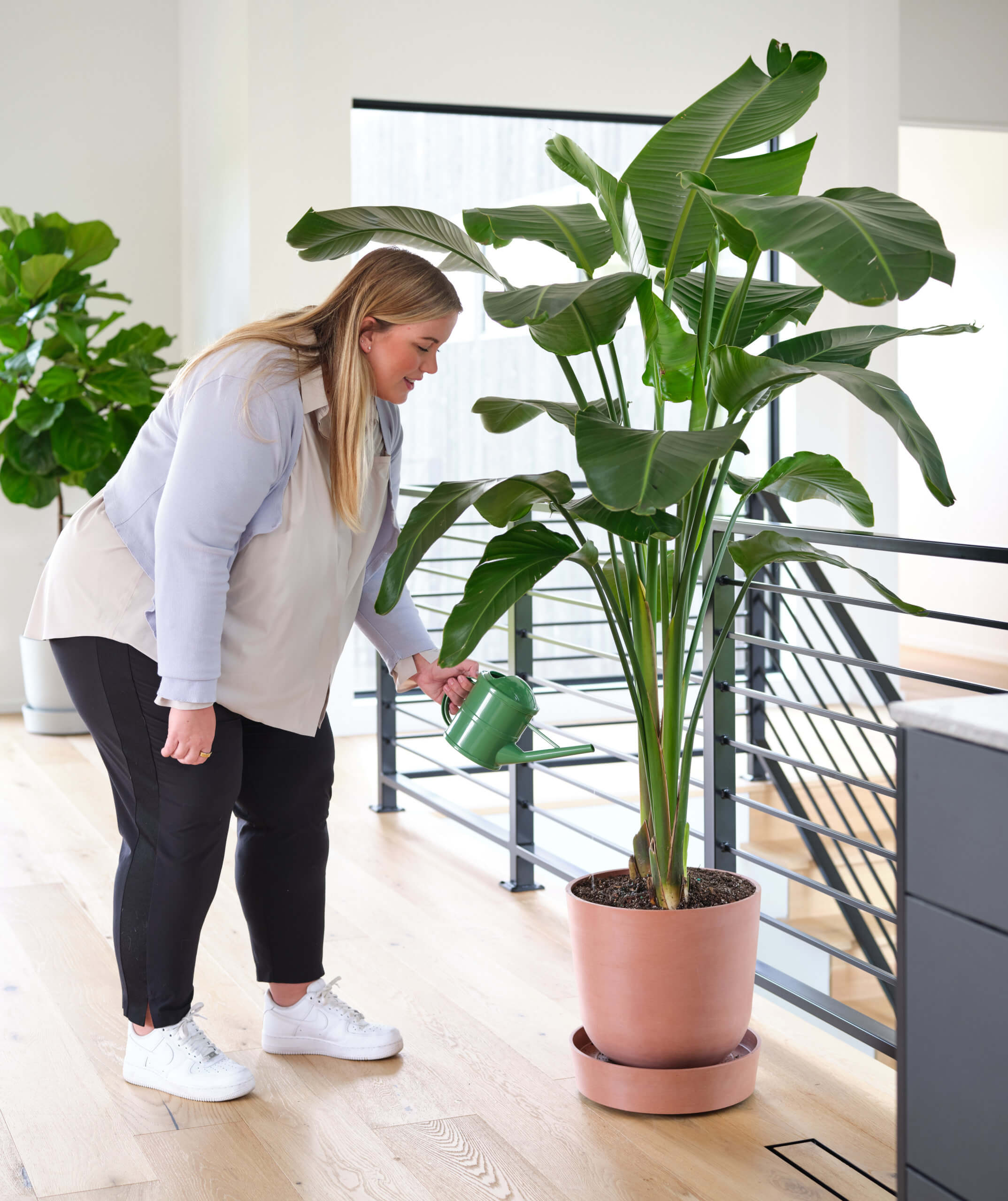 BloomscapeLocationJuly-00326_Edited