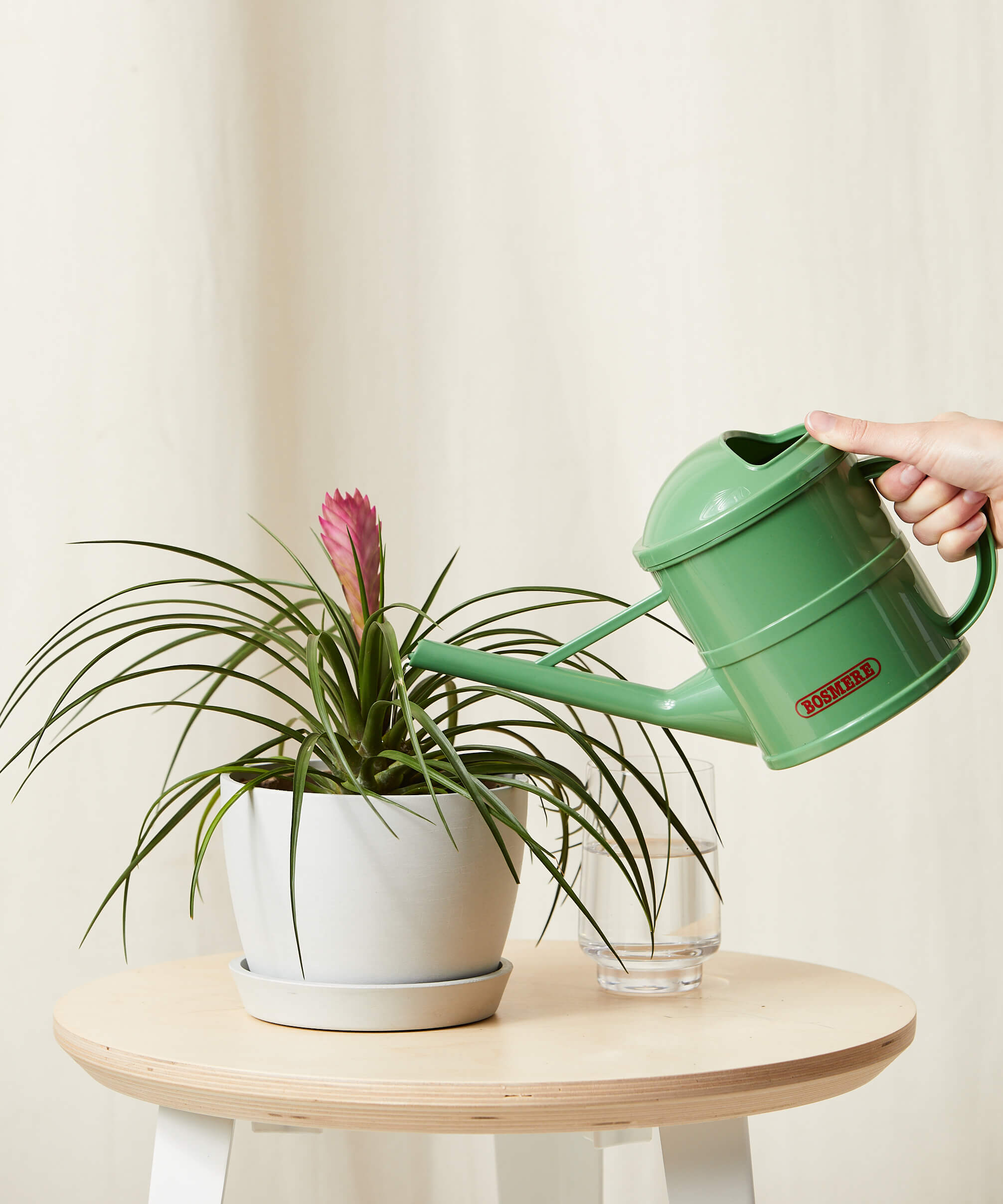 bloomscape_bromeliad-summer_sm_watering-can