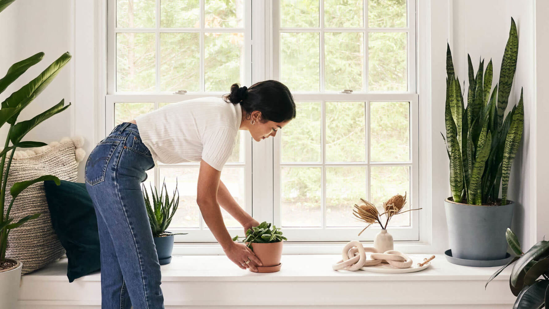 Woman placing a plant on a windowsill